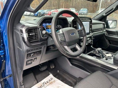 2023 Ford F-150 XLT 4WD SuperCrew 5.5' Box