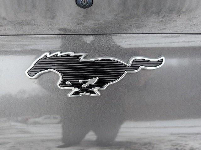 2021 Ford Mustang Mach-E Select